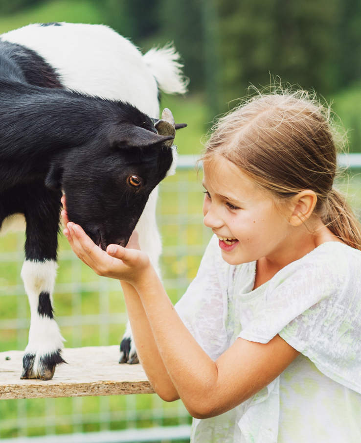 Educational school field trips at Lucky Ladd Farms located near Franklin and Murfreesboro TN