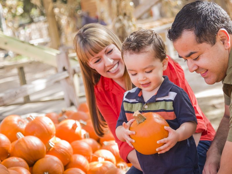 Fall Family Traditions Start at Lucky Ladd's Pumpkin Patch