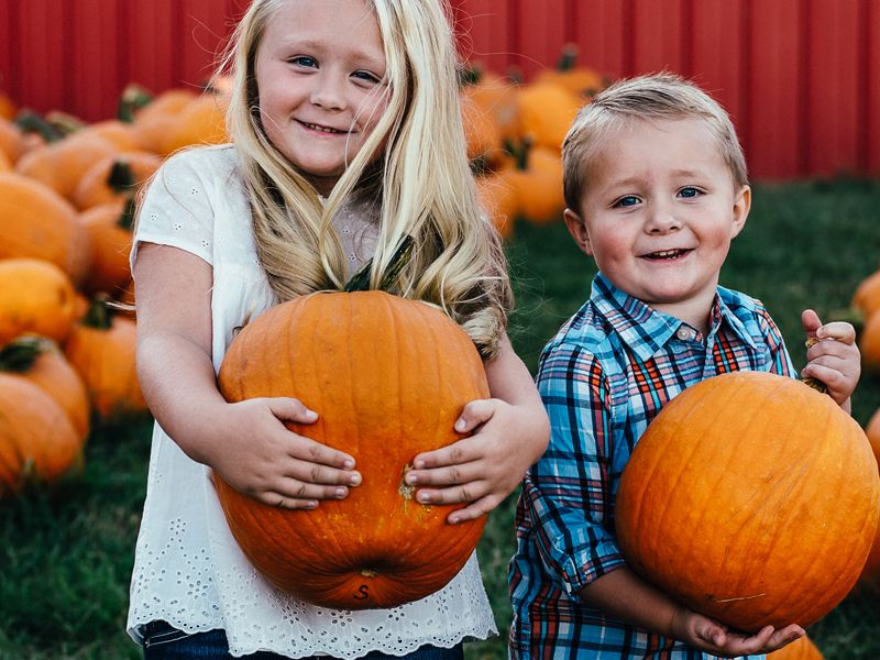 With thousands of pumpkins to choose from, you're sure to find the perfect pumpkin one!