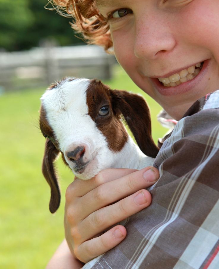 Love on cute goat kids at Lucky Ladd's Barnyard Baby Animal Bash near Nashville, TN