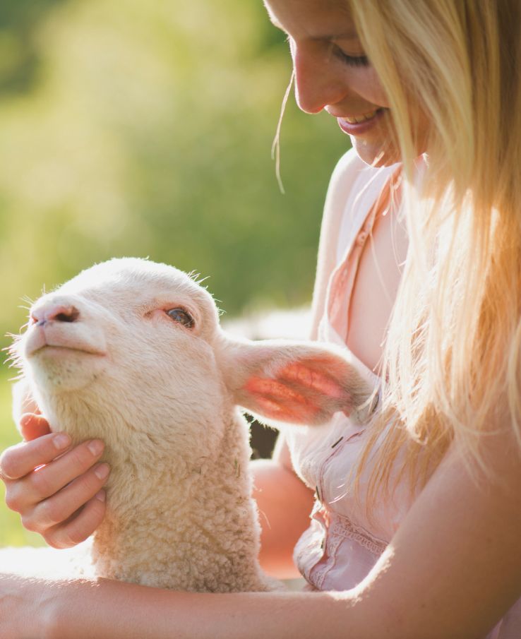 Cuddle loveable lambs at Lucky Ladd's Barnyard Baby Animal Bash near Nashville, TN