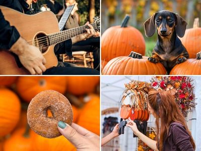 Lucky Ladd's Fall Family Fun Festival, Nashville's favorite fall event. Named Tennessee's Best Fall Festival | Nashville, Franklin, Murfreesboro TN