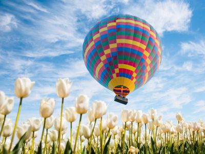 Tennessee Tulip Festival Hot Air Balloon Rides