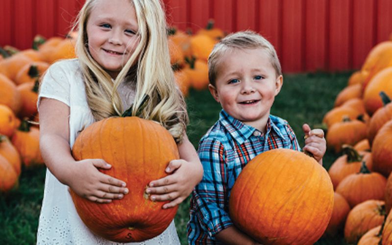 Nashville's Best Fall Family Tradition - Lucky Ladd Farms Pumpkin Patch Festival! | Murfreesboro, Franklin and Nashville, TN