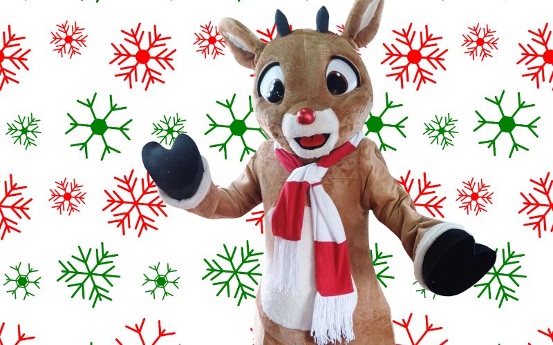 Grinch Meet and Greets near Nashville, Franklin, and Murfreesboro TN! Grinchy Character Meet & Greets