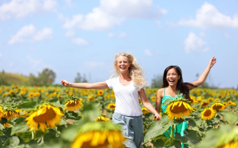 Tennessee Sunflower Festival - located near Murfreesboro, Franklin and Nashville, TN