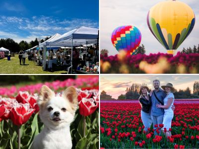 The Tennessee Tulip Festival is the largest tulip event of its kind in the southeaster United States. Highlights include shopping, live entertainment, photo ops, you-pick tulips, and tons of fun. Located in middle Tennessee near Nashville. Tennessee Tulip Festival