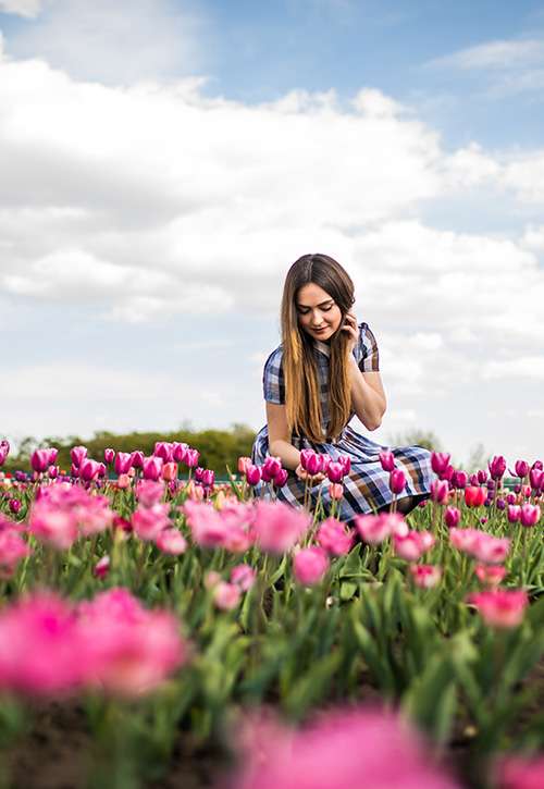 Pick tulips, enjoy beautiful sunsets, spend time with family at Lucky Ladd's Tulip Farm | Franklin, TN