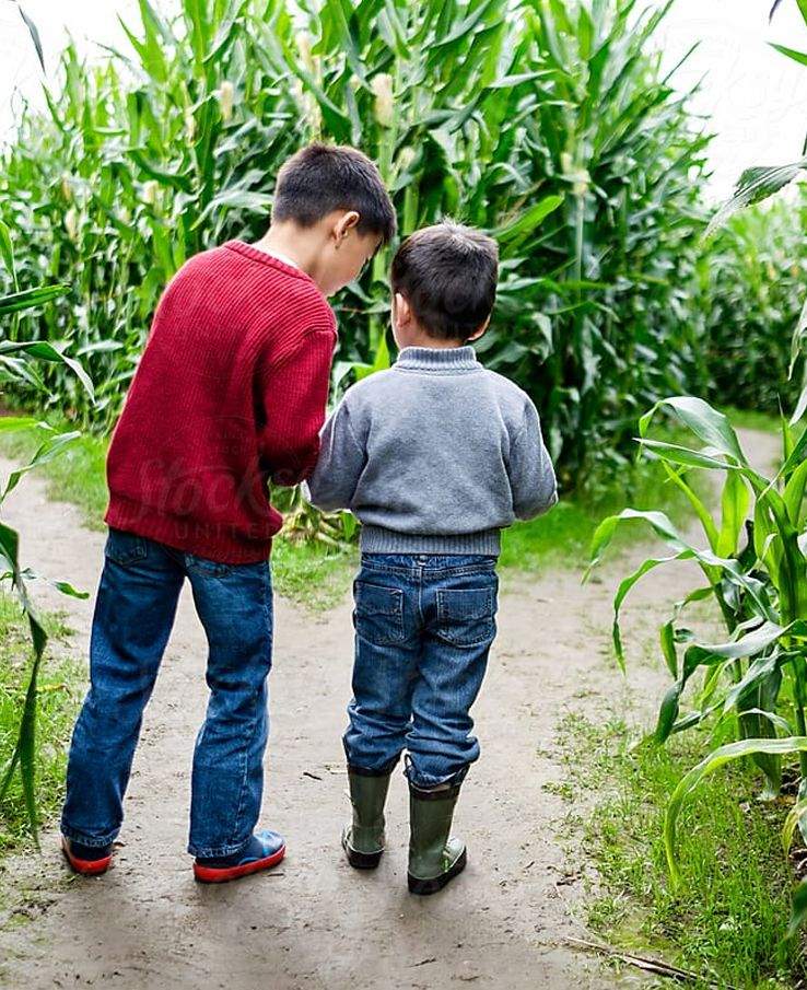 Scouts visit pumpkin patch and corn maze at Lucky Ladd Farms located near Nashville TN