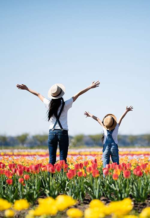 Pick Your Own Tulip Farm near Nashville, TN